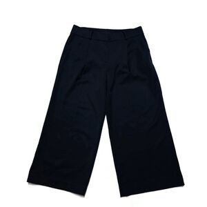 Ann Taylor Factory Navy Wide Leg Crop Pleated Dress Pants sz 10